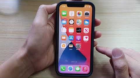iPhone 12: How to Copy & Paste Text From a Webpage/An App To Notes