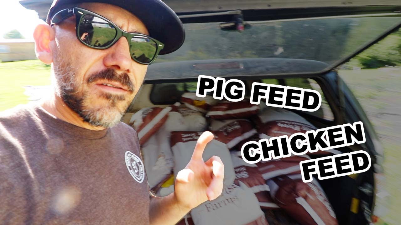 What does 3 months worth (1300 lbs.) of feed look like/ VLOG