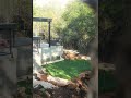 Backyard Putting Green Transformation: Before &amp; After