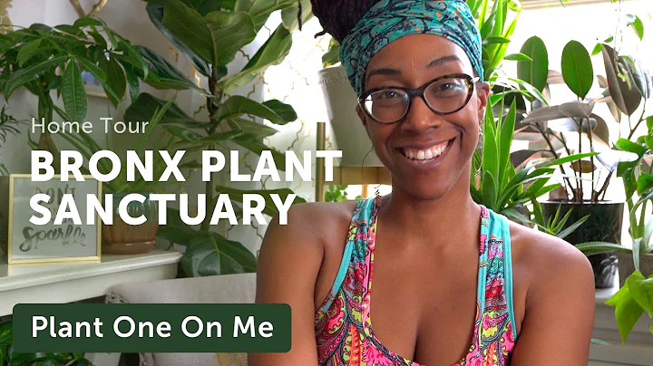 HOUSEPLANT HOME Sanctuary in the BRONX  Ep. 224