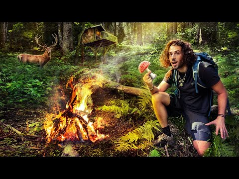 I Survived 24 Hours In A Forest With Only A Knife