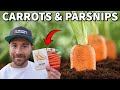 How To Grow CARROTS And PARSNIPS That NEVER Stop Producing!