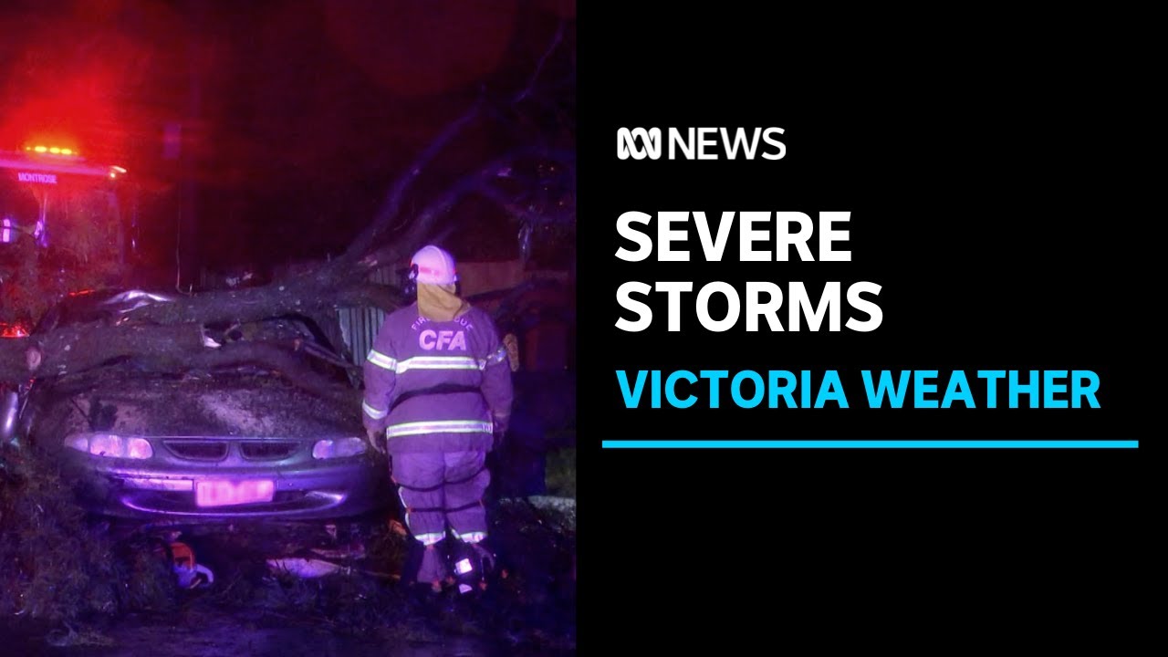 Victorians Count The Cost After Violent Storm Sends Trees Crashing Through Homes Abc News Youtube Victorians Count The Cost After Violent Storm Sends Trees Crashing Through Homes Abc News Youtube