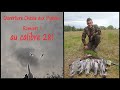 Ouverture chasse aux pigeons ramiers  calibre 28