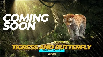 WEBINAR - "THE MAKING OF TIGRESS and BUTTERFLY" PROMO VIDEO | COMING SOON