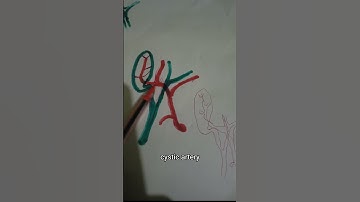 Triangle of Calot / Cysto Hepatic Triangle, What Structures Form it #shorts Amazing Triangle! #Calot