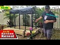 DIY Outdoor Garden Kennel Setup Under $500 - Lucky Dog Outdoor Pet Playpen