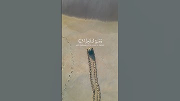 تلاوة خاشعة بصوت القارئ محمد هشام