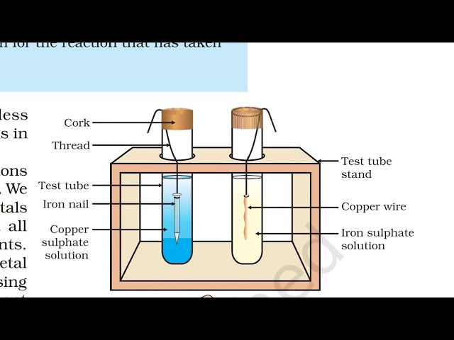 How To Draw Reaction Of Iron Nails With Copper Sulphate Solution Diagram -  YouTube