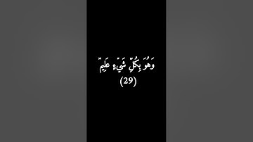 كروما سوداء سورة البقرة الجزء الاول من الآية ٢١_٣٩#فارس_عباد 