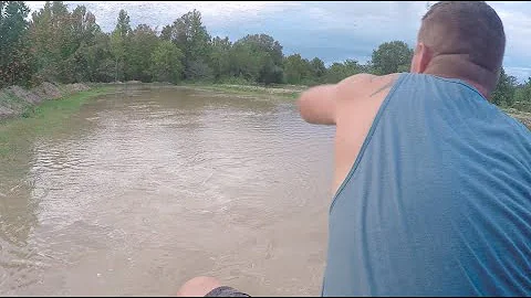 Can rice grow standing in water?