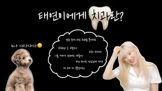 태연이에게 치과란?🦷 응 그렇구나~😬