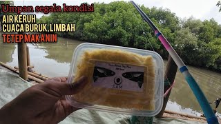 2 Days 1 Night Fishing in Muara Gembong Muara Besar, Catching Big Fish and Being Hit by a Storm