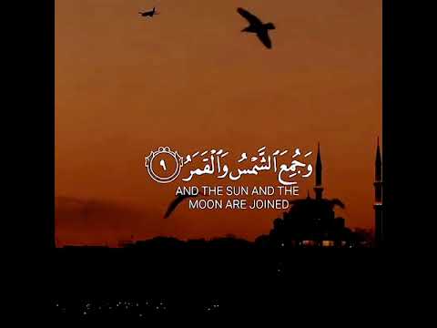 فإذا برق البصر إدريس أبكر حالات واتس اب دينية قصيرة مؤثرة قرآن كريم تلاوة خاشعة انستا وفيسبوك