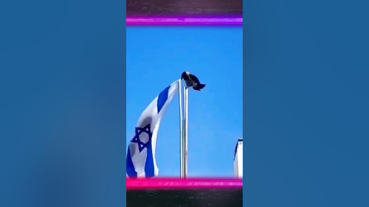 Y X 32