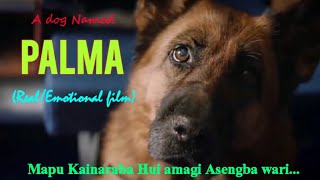 A dog named Palma || 2021|| Full movie explained in manipuri || True story of a dog || LE