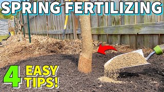 The BEST GUIDE To Fertilizing FRUIT TREES In Spring On The Internet!