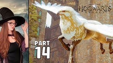 HOGWARTS LEGACY - Part 14 - First Beasts Class!