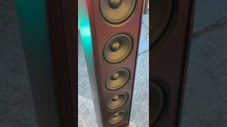 Rotel hifi rose music fidelity piega #hifi2026 #speakers #audiophile