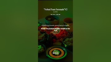 Volted Feast V2 Voltinu.in Crypto Music Join The Voltarmy Like & Subscribe 