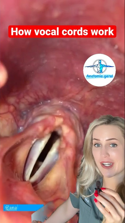 Download lagu How the vocal cords make sound!