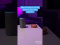 Alexa and Google TikTok Compilation #2