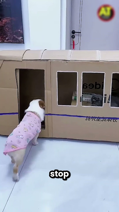 The Best Cardboard Train Ever 🤩