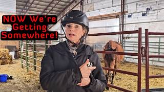 التدريب باستخدام جهاز النقر يغير كل شيء | الخيول تحبه! screenshot 5