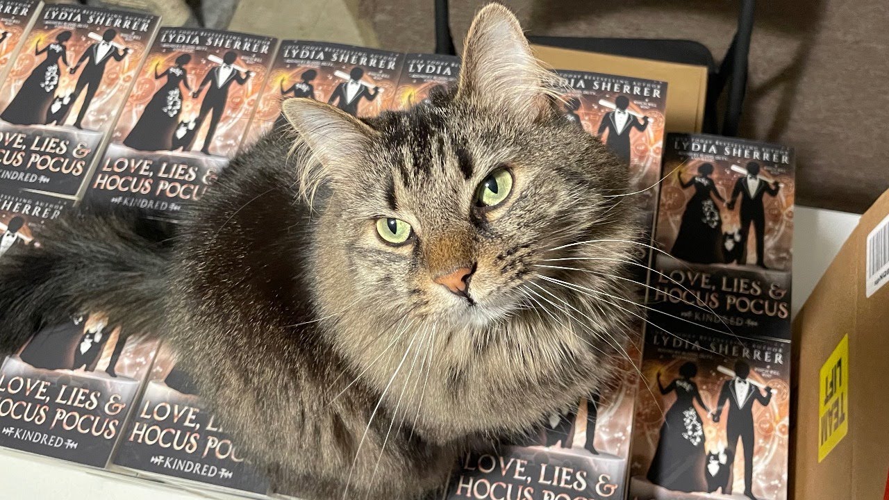 Q&A and Shenanigans with Lydia Sherrer