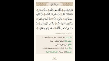 السراج في بيان غريب القران سورة الاعلى 2 تلاوة الشيخ سعد الغامدي