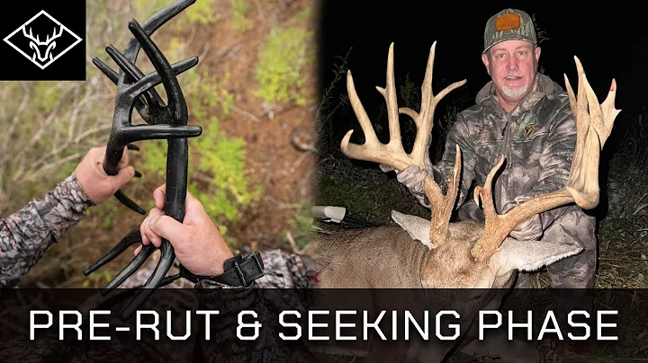 Pre-Rut Tactics | Seeking Phase Strategies with Ben Rising