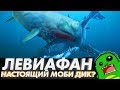 ЛЕВИАФАН — главный противник мегалодона и настоящий Моби Дик? [ЭВОЛЮЦИЯ КИТОВ]