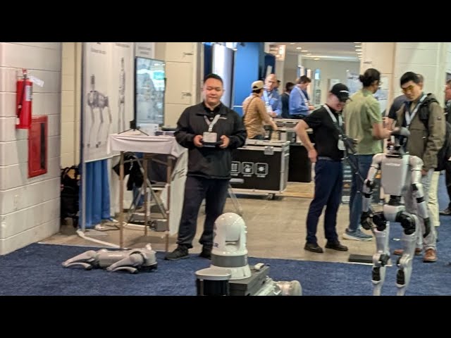 Why Do You Want Your Robots to Look Like People Anyway? Why Do You Want Your Robots to Look Like People Anyway?