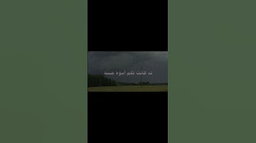 قَدۡ كَانَتۡ لَكُمۡ أُسۡوَةٌ حَسَنَةٞ || سورة الممتحنة || علي جابر #اجر_لي_ولك #قرآن 🩶✨️.