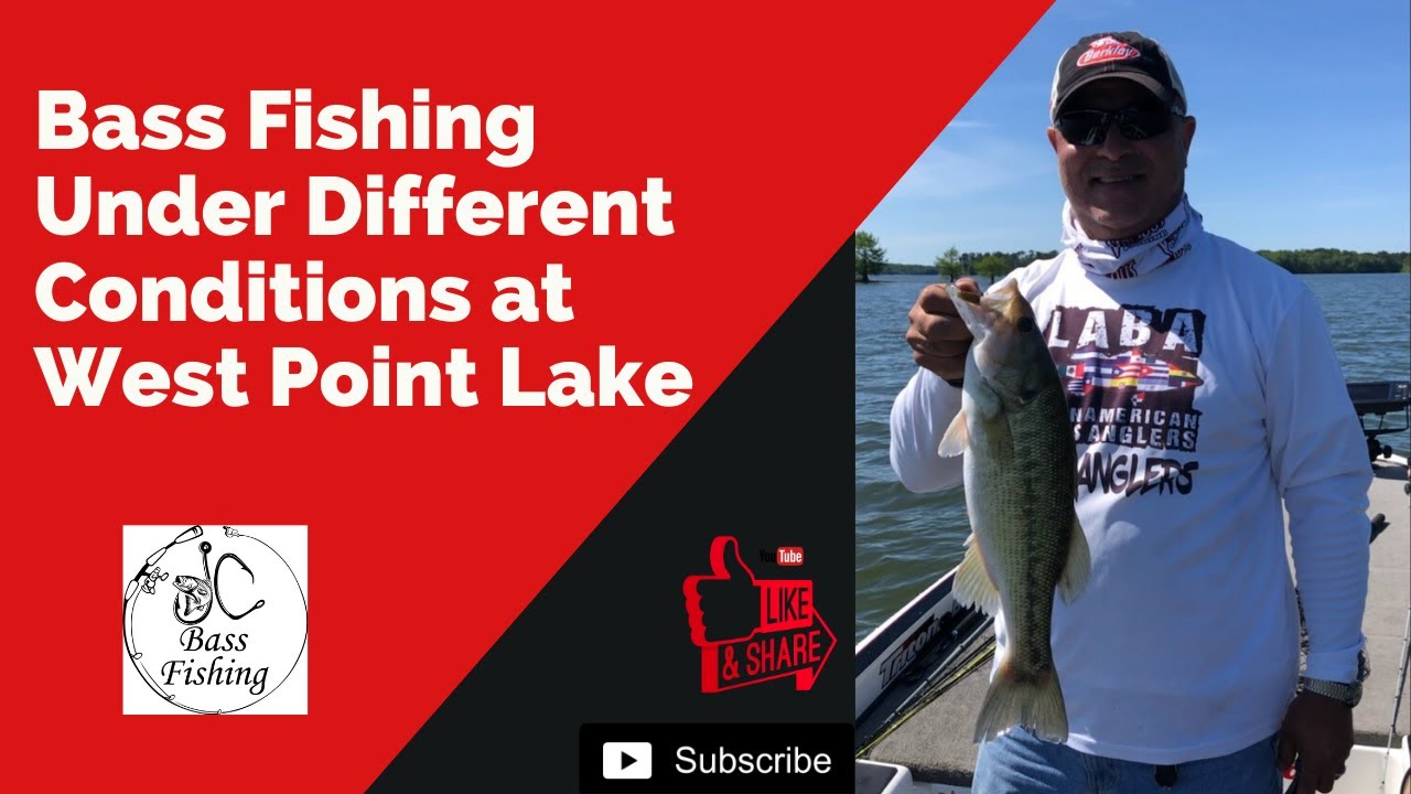 Bass Fishing Under Different Conditions at West Point Lake