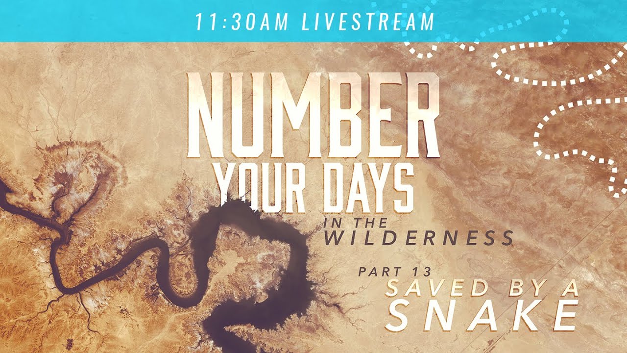 Number Your Days // Part 13 (11:30AM)