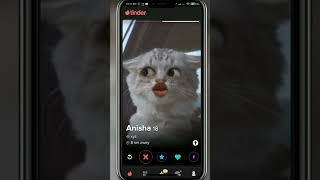 How to search matches on Tinder? screenshot 5