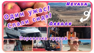 картинка: ГРУЗ ИЗ NEVADA - OREGON / ТАК ДОЛГО МЫ ЕЩЕ НЕКОГДА НЕ ЗАГРУЖАЛИСЬ...🇺🇸