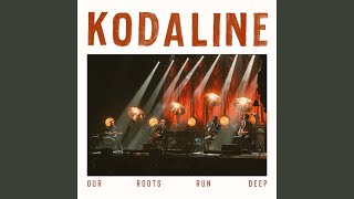 Video thumbnail of "Kodaline - Everything Works Out In The End (Live in Dublin / 2022)"