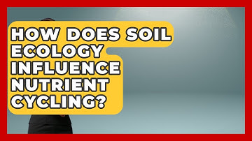 How Does Soil Ecology Influence Nutrient Cycling? | Explaining Ecology News