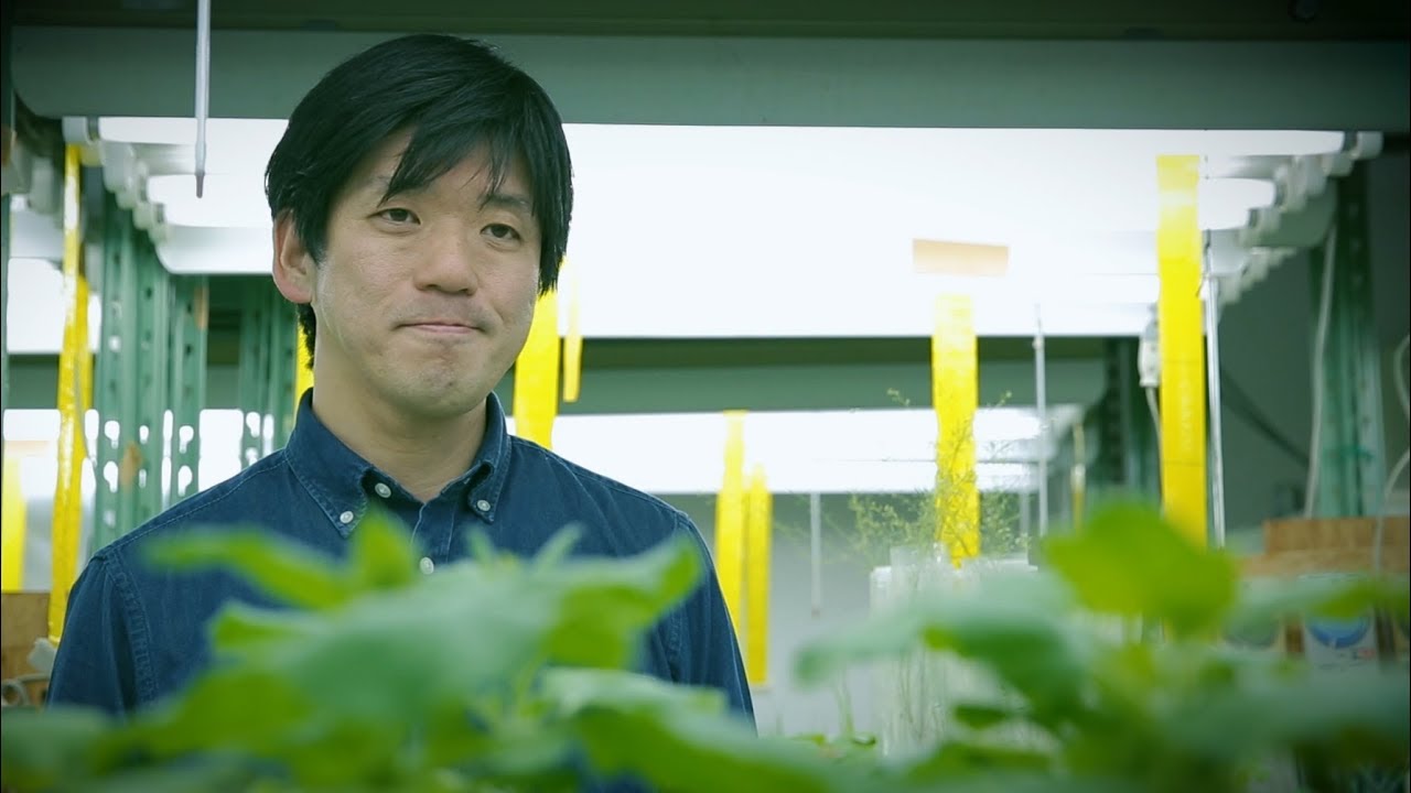 京大先生シアター 植物と病原体の戦いのミステリー Youtube