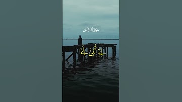 الشيخ محمد أحمد شبيب ✨❤ #القرآن_الكريم  #المصحف #قرآن  #محمد_أحمد_شبيب #محمد_شبيب #سورة_النمل