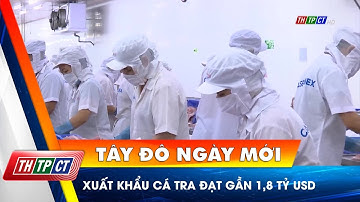 Xuất khẩu cá tra đạt gần 1,8 tỷ USD | Cần Thơ TV