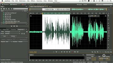 Adobe Audition CS6 - How to Remove Noise from a Clip