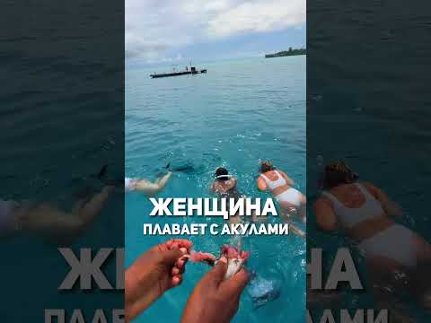 ЖЕНСКИЙ ТУР НА МАЛЬДИВАХ☀️🏝️❤️🌊✈️🔥 #мальдивы #отдыхнамальдивах #турынамальдивы