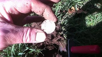 Weekend Silvers With The Minelab E-Trac