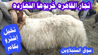 اسعار الخرفان اللحم اليوم داخل سوق السنبلاوين للمواشى