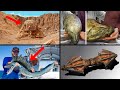 Most Incredible Recent Discoveries | ORIGINS EXPLAINED COMPILATION 11