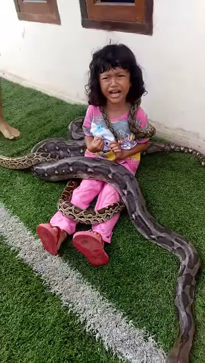 Anak keciL Bermain Ular