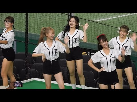 台湾チアガールがセクシーに舞い踊りオヤジら大歓喜！アジアプロ野球チャンピオンシップ2023 11/19(日)東京ドーム